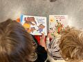 Groep 1